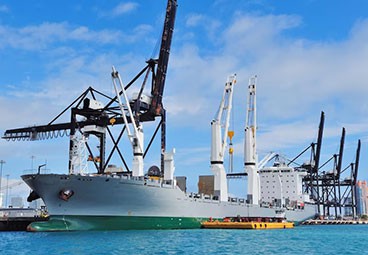 Logistics góp phần đạt được tính trung hòa carbon
